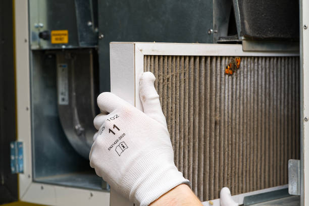 Best Home Air Vent Cleaning  in Collierville, TN
